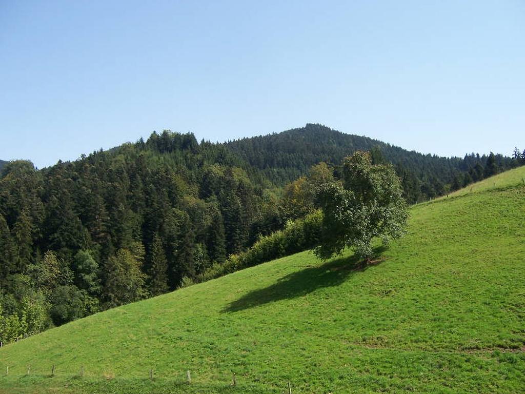 Stinneshof أوبيرهارميرسباخ المظهر الخارجي الصورة